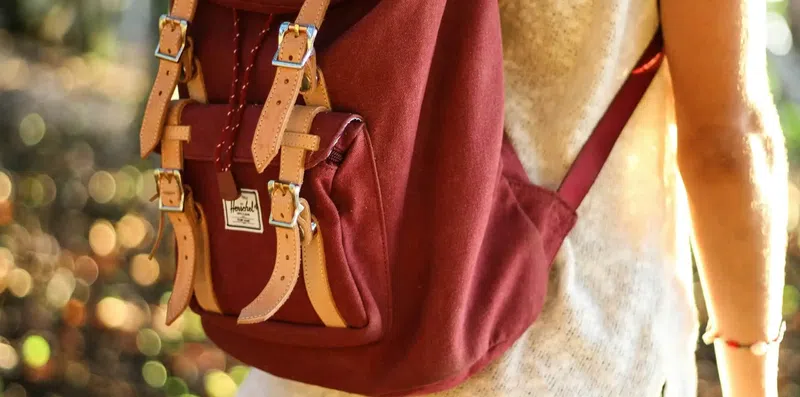 Bolsas parciais, integrais e de auxílio: qual escolher para estudar fora?