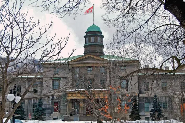 4-mcgill-e-universidade-de-toronto