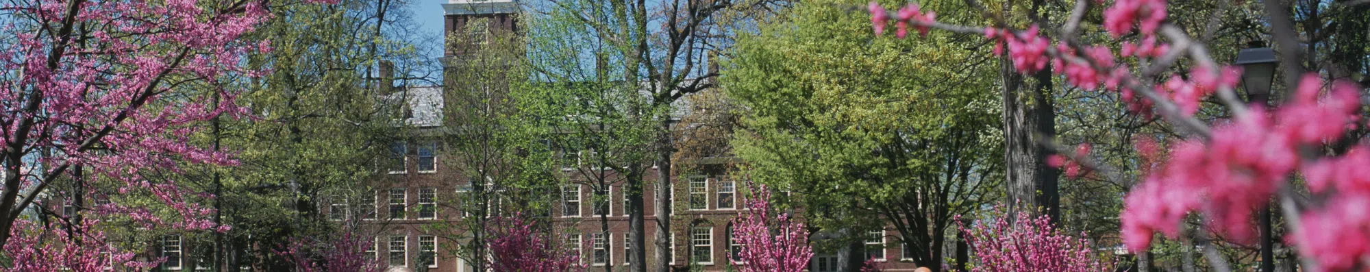 Free tuition: 5 faculdades americanas sem mensalidades