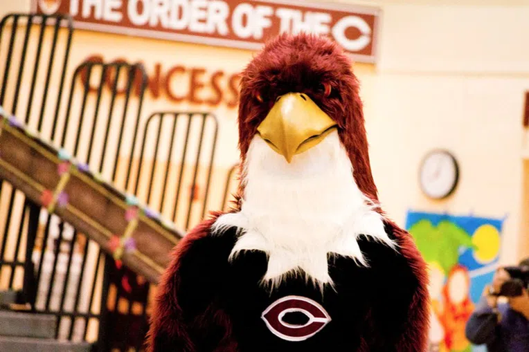 5-mascotes-das-universidades-dos-eua