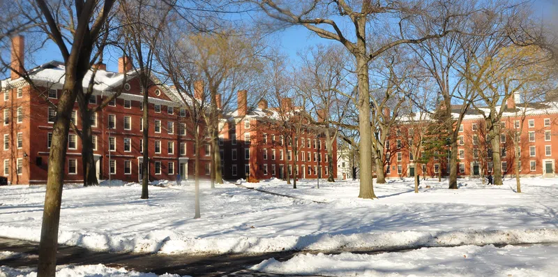 Teste: qual curso gratuito e online de Harvard você deve fazer?