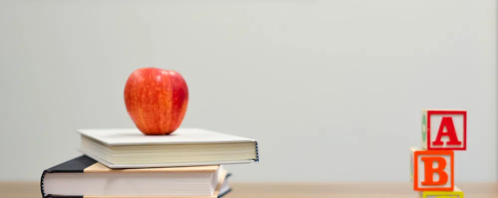 TESTE: Você consegue passar numa prova da 4ª série em inglês?