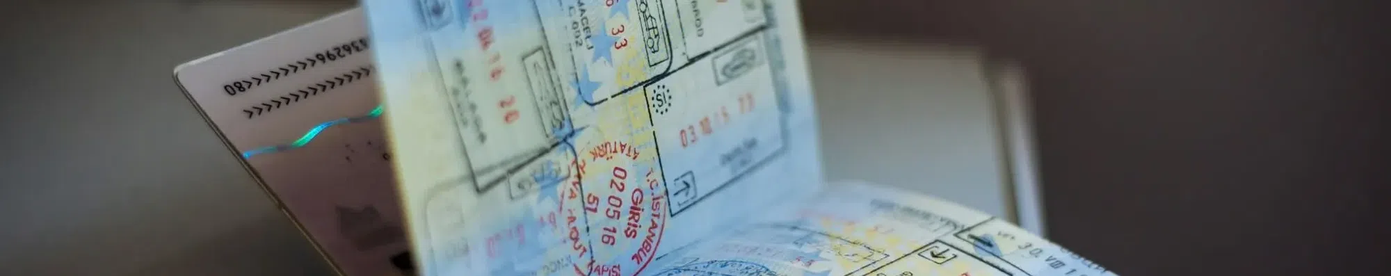 Passaporte para a Liberdade 2026: minicurso gratuito