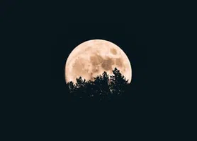 Noite