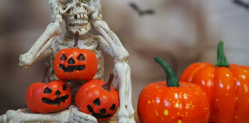 Especial de Halloween: 5 destinos de intercâmbio para quem é fã de terror