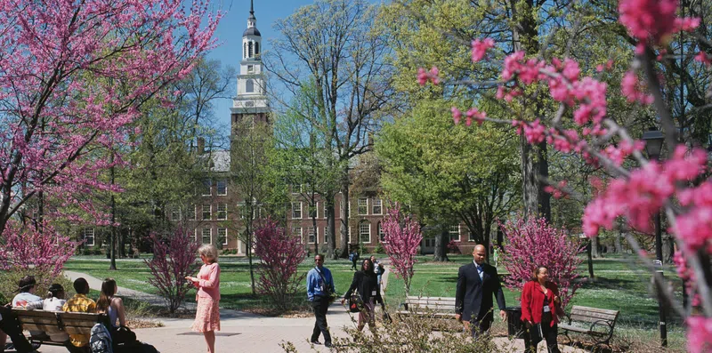 Free tuition: 5 faculdades americanas sem mensalidades