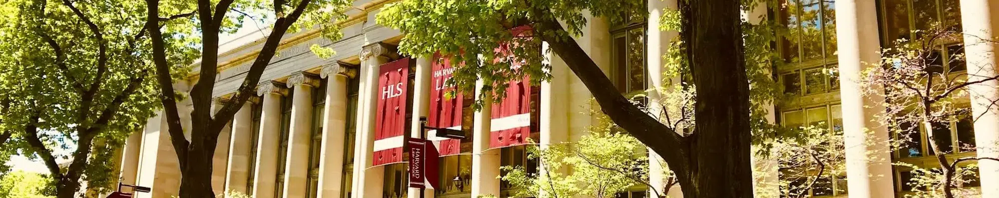 5 melhores intercâmbios com bolsa em Harvard