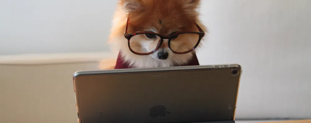 É possível fazer o ACT online?