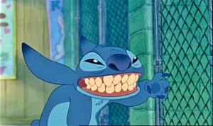 Stitch
