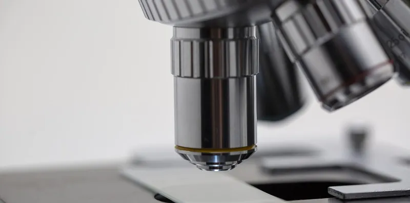 Biologia nos EUA: melhores faculdades