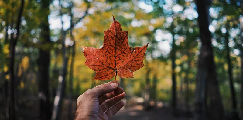 Motivos para escolher o Canadá como seu próximo destino de intercâmbio