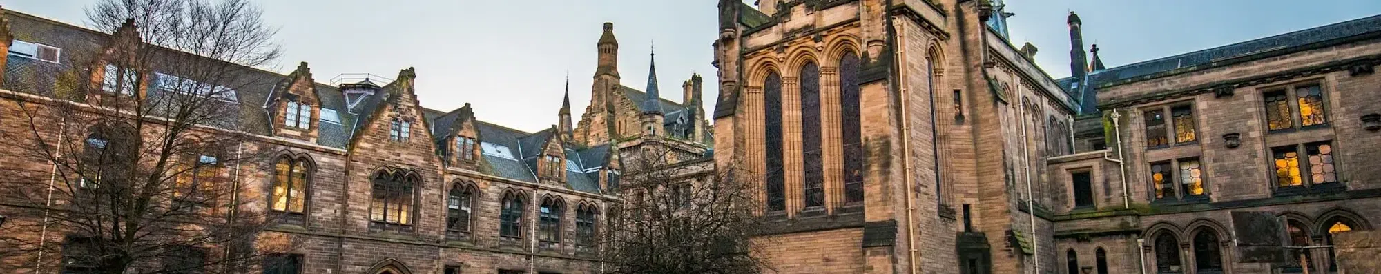 Universidades focadas em pesquisa vs mercado: diferenças