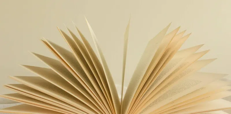 Qual idioma aprender primeiro para estudar fora?
