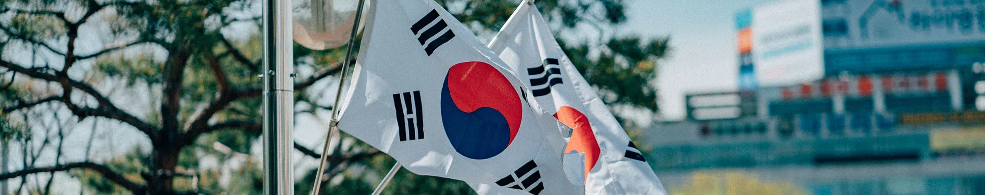 Intercâmbio na Coreia do Sul com tudo pago