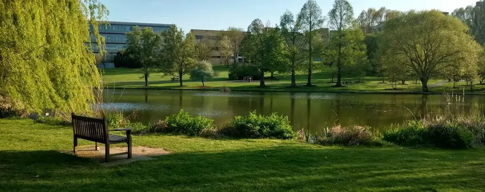 Bolsa para mulheres na University of Surrey: MBA com até 50% de desconto