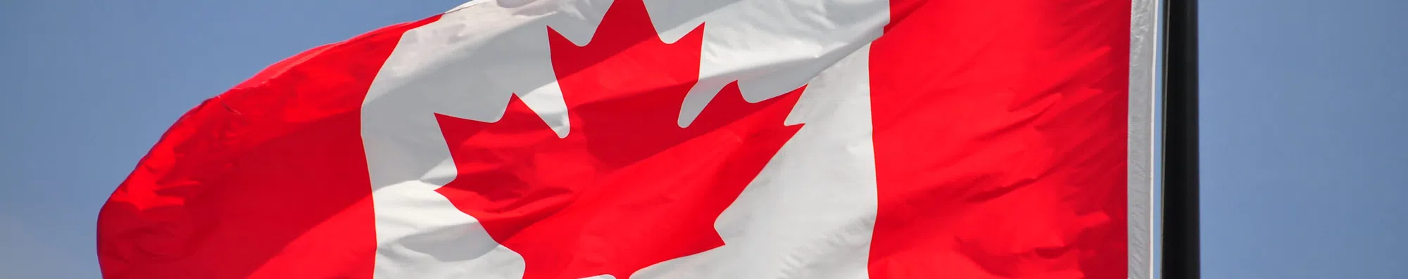 Quebec ou Gatineau: onde estudar no Canadá?