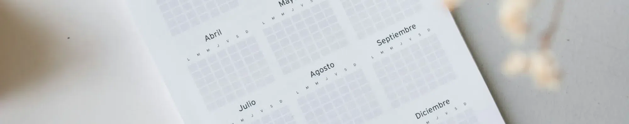 Intercâmbio: aplicar este ano ou esperar o próximo?
