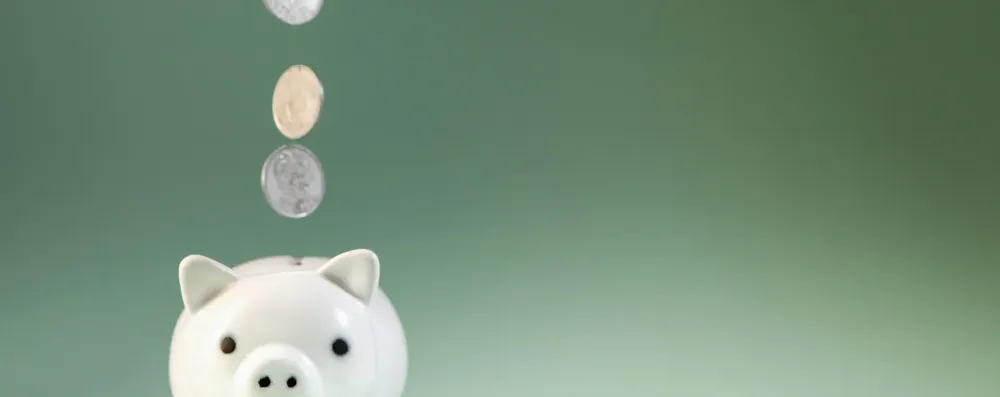 Matching fund: a bolsa que 2 instituições bancam juntas