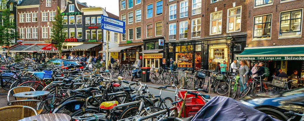 Estude na Holanda: conheça o Orange Tulip Scholarship