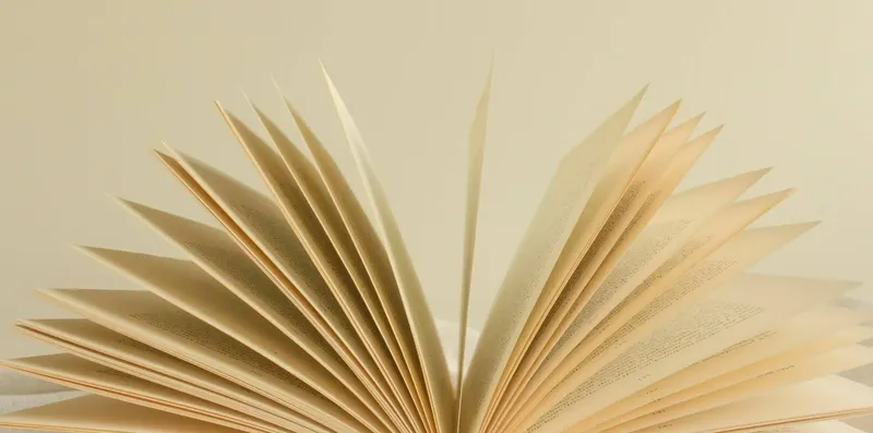 Qual idioma aprender primeiro para estudar fora?