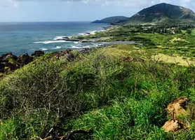 Honolulu