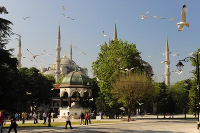 Governo da Turquia oferece bolsa de estudos
