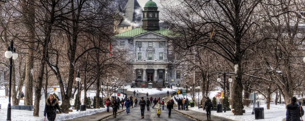 3 cursos online da Universidade McGill gratuitos