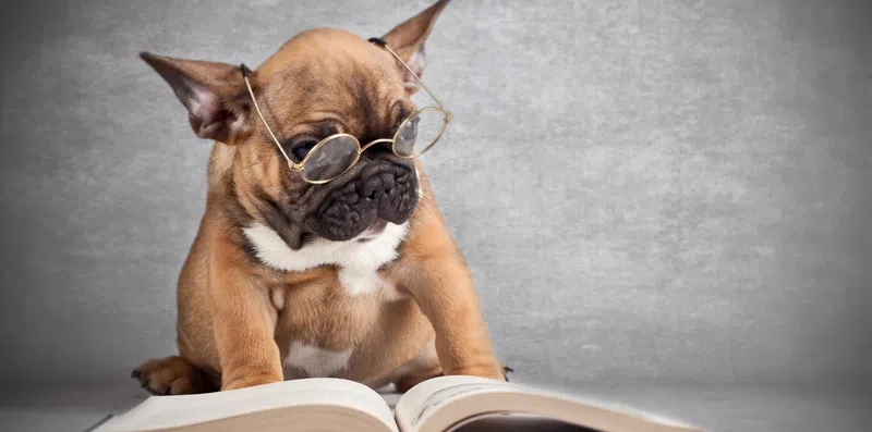 Teste seus conhecimentos sobre intercâmbios nesse quiz em inglês