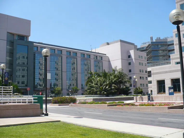 David-Geffen-School-of-Medicine